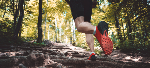 personne qui fait un trail dans la foret 